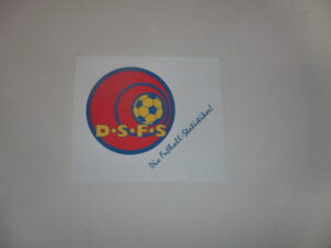 DSFS-Brillenputztuch